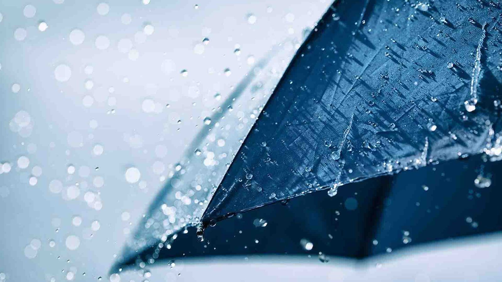 RG146 Tier 2 General Insurance (General Advice)